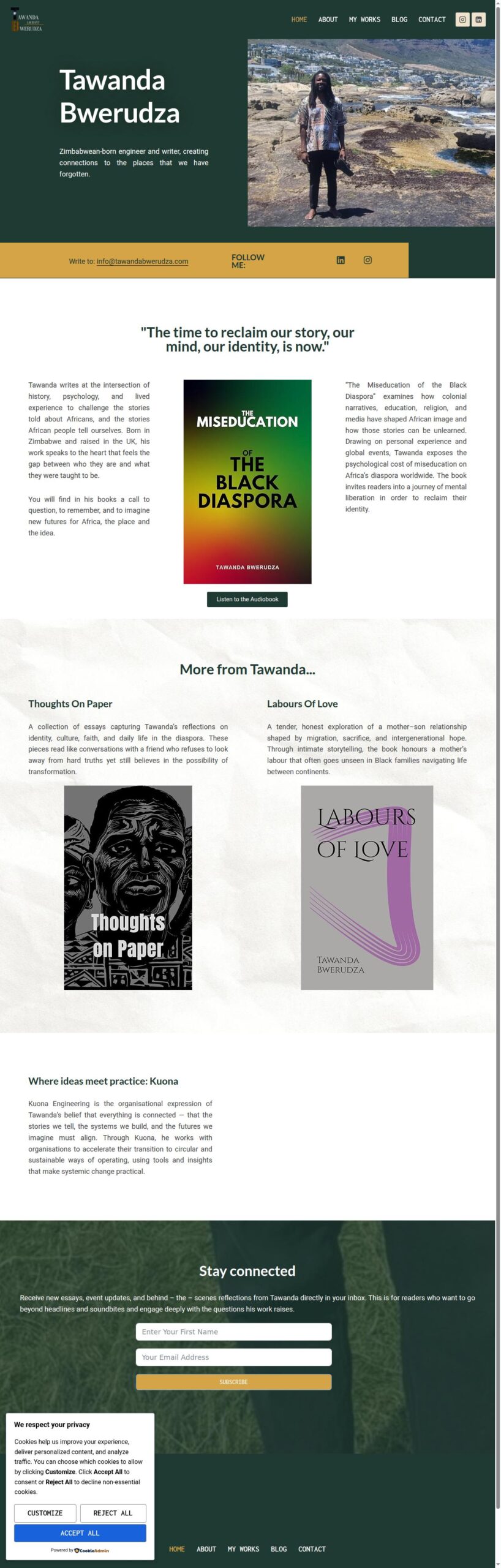 Tawanda Bwerudza author website